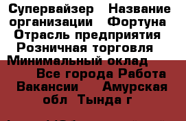 Супервайзер › Название организации ­ Фортуна › Отрасль предприятия ­ Розничная торговля › Минимальный оклад ­ 19 000 - Все города Работа » Вакансии   . Амурская обл.,Тында г.